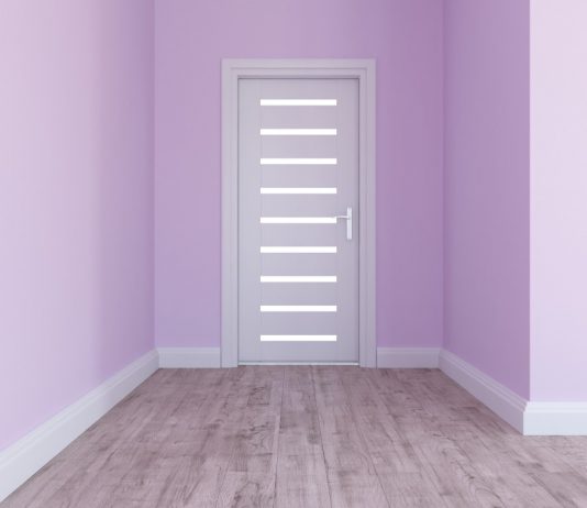 חידוש דלת כניסה